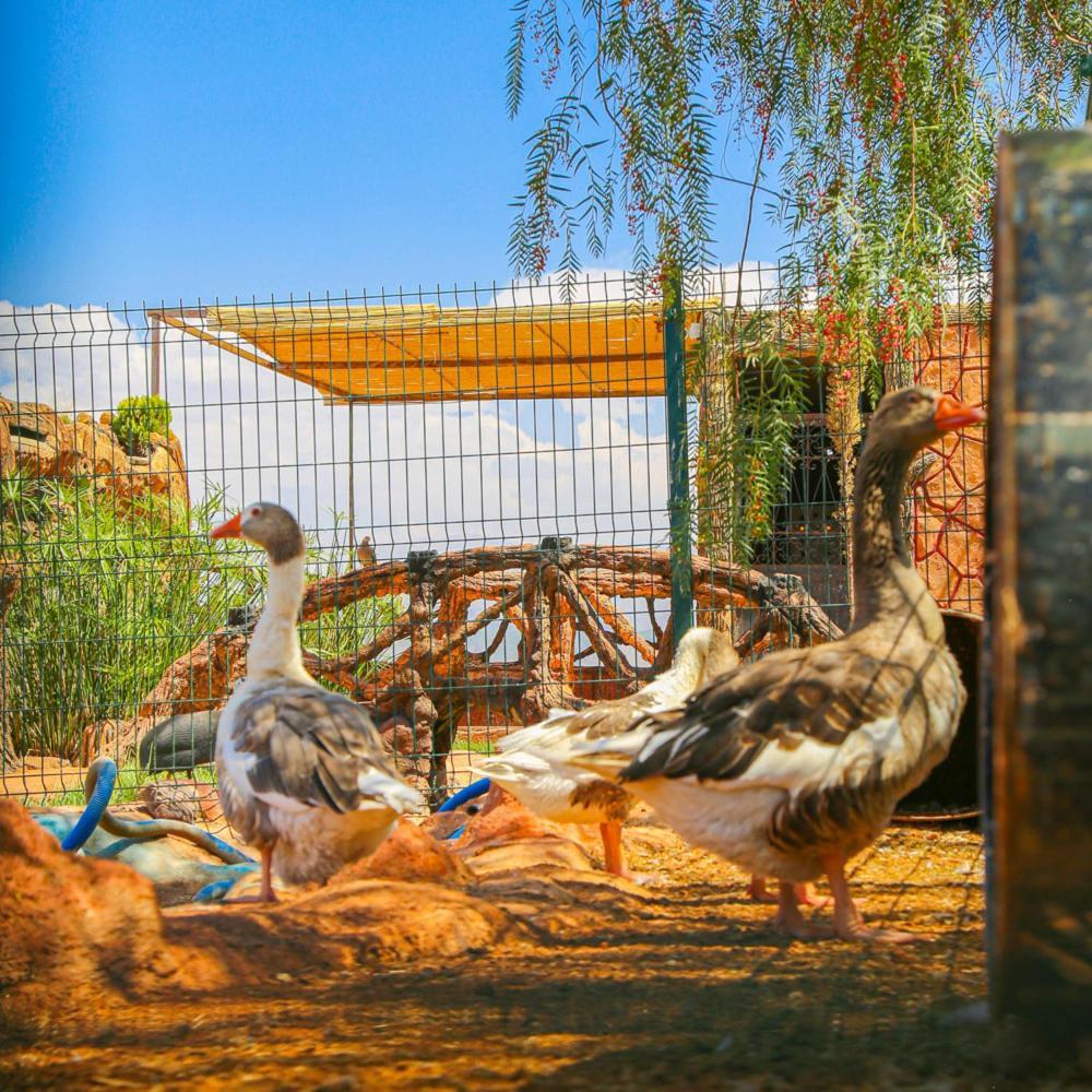 Hotel Jnane Riad Douar Akkara Экстерьер фото